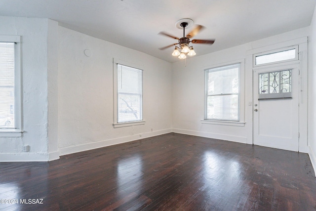 entrance foyer with dark wood finished floors and a wealth of natural light