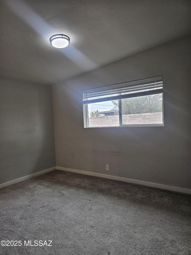 spare room featuring baseboards and carpet flooring