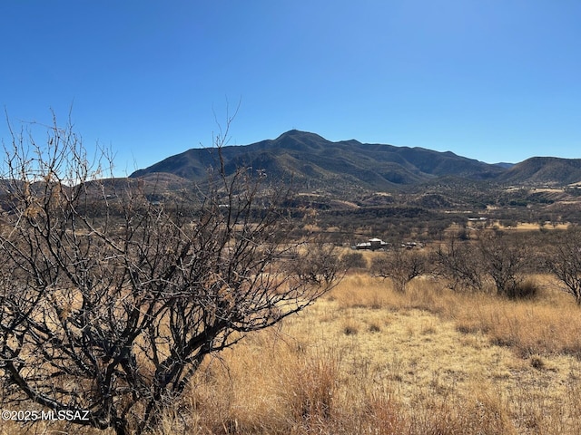 TBD Sonoita Dr Unit 9, Patagonia AZ, 85624 land for sale