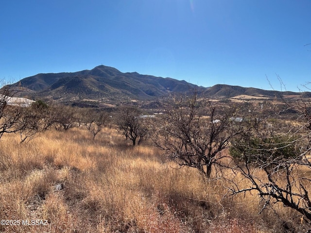 Listing photo 2 for TBD Sonoita Dr Unit 9, Patagonia AZ 85624