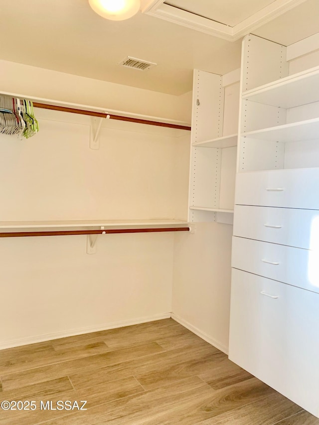 spacious closet featuring visible vents and light wood finished floors