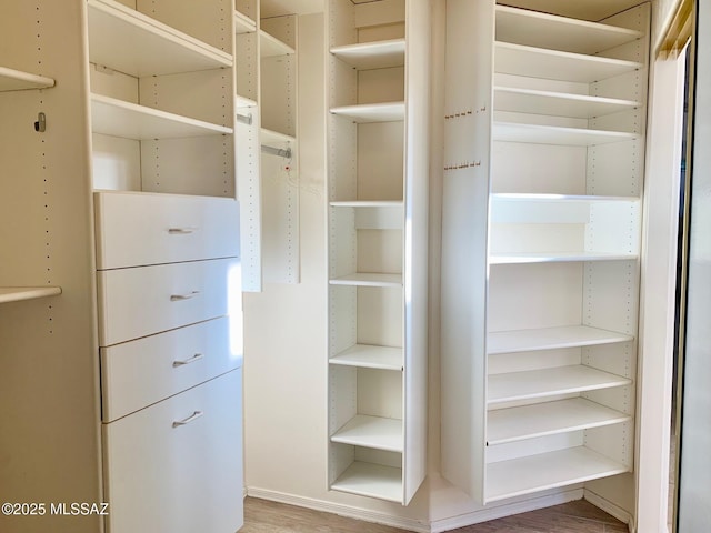 spacious closet featuring wood finished floors