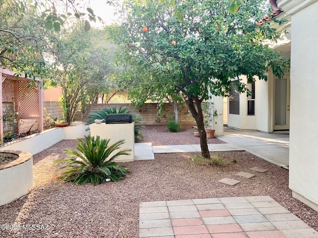 view of yard featuring a patio and a fenced backyard