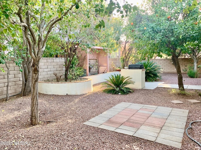 view of yard featuring a fenced backyard and a patio area