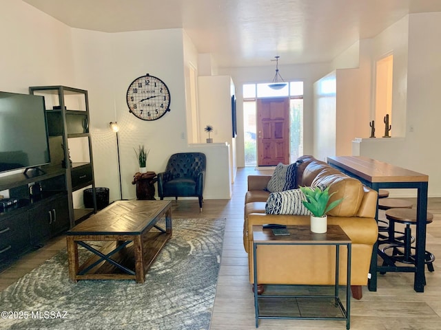 living area featuring wood finished floors