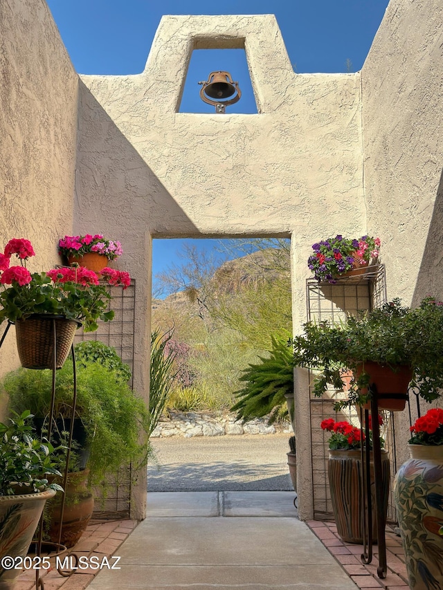 view of exterior entry with stucco siding