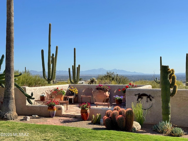 view of yard featuring a patio and a mountain view