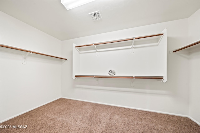spacious closet featuring visible vents and carpet floors