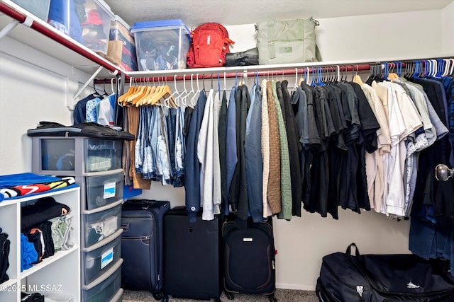 spacious closet with carpet