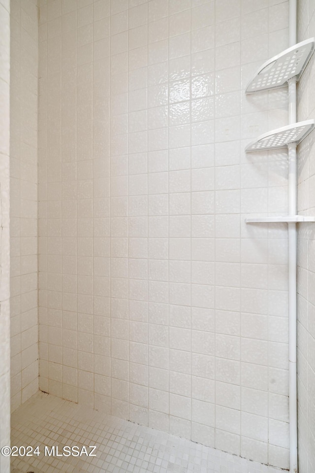 interior space featuring tiled shower