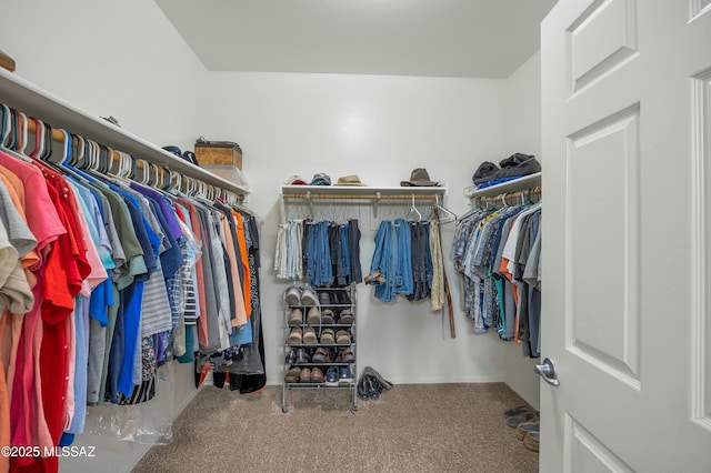 walk in closet with carpet