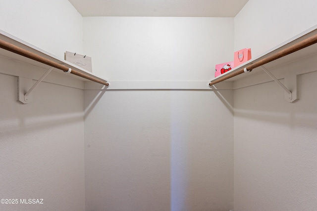 view of spacious closet