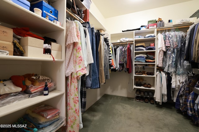 walk in closet with carpet