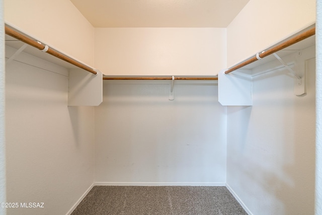 walk in closet with carpet floors