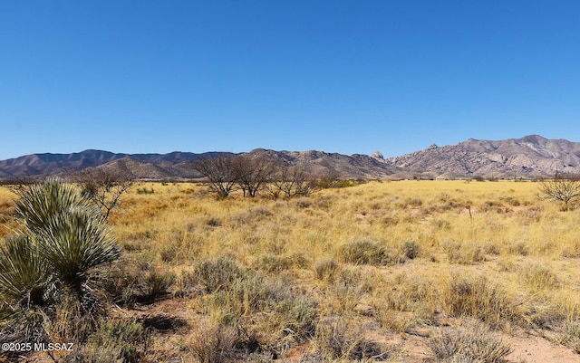 1LOT W March St Unit 13, Pearce AZ, 85625 land for sale