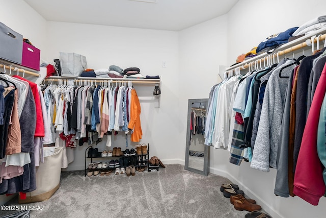 walk in closet featuring carpet flooring