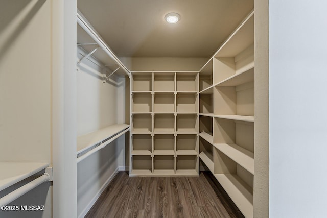 walk in closet featuring dark wood-style flooring