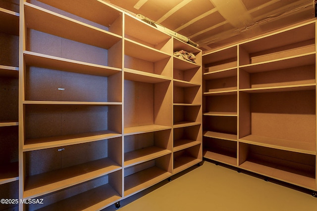 view of walk in closet