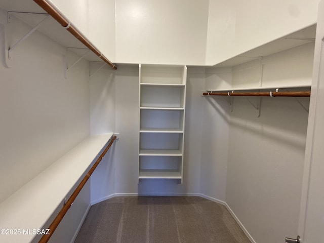 spacious closet featuring dark colored carpet