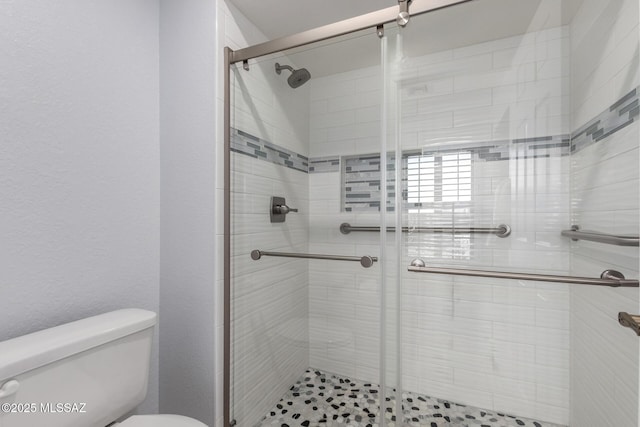 bathroom with a stall shower and toilet