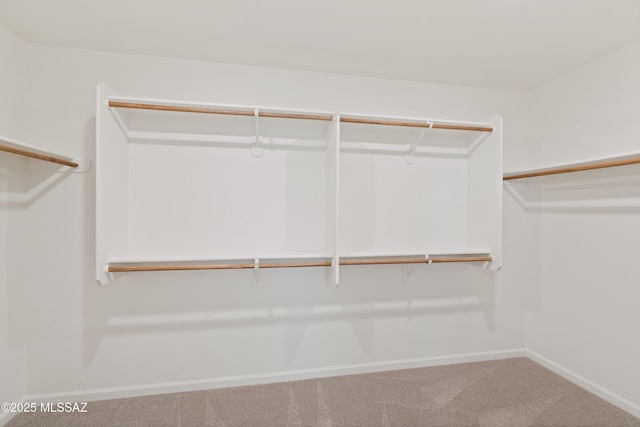 spacious closet with carpet flooring