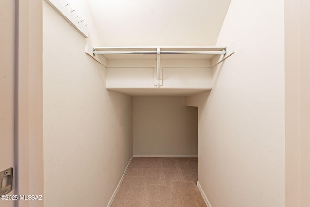 spacious closet featuring carpet flooring