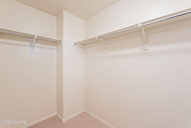 walk in closet featuring carpet