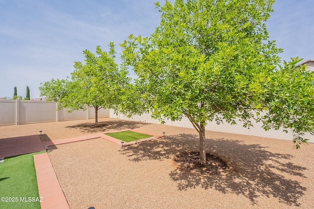 view of yard with a fenced backyard and a patio area