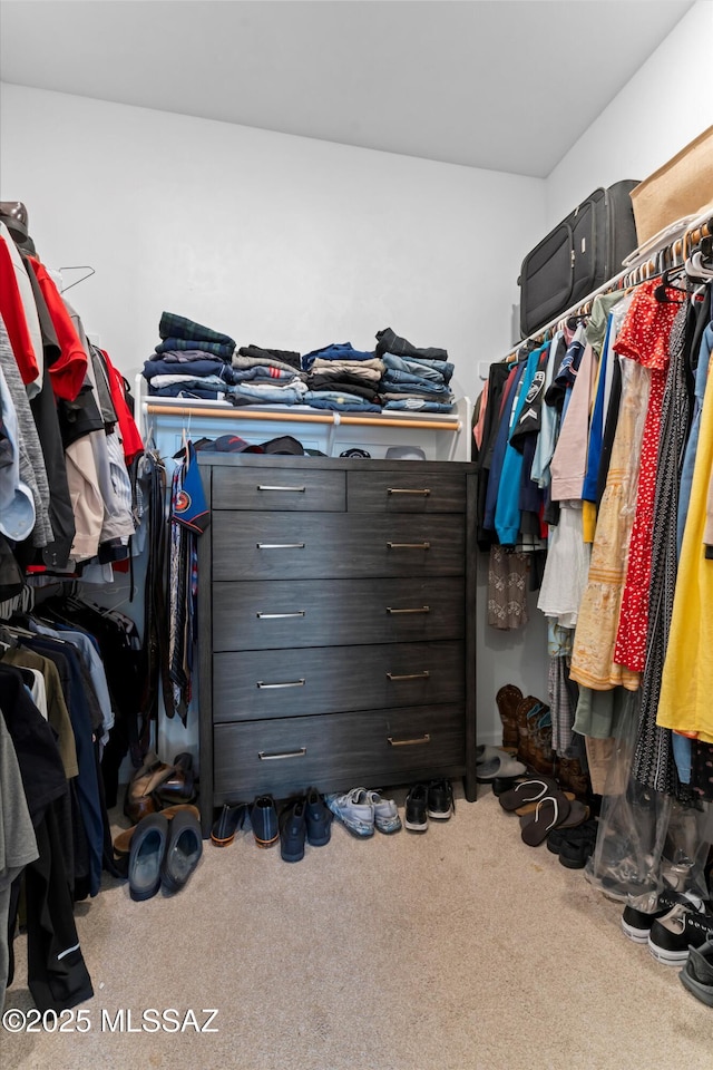 walk in closet featuring carpet flooring