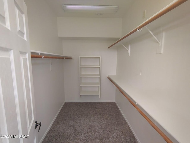 walk in closet featuring carpet