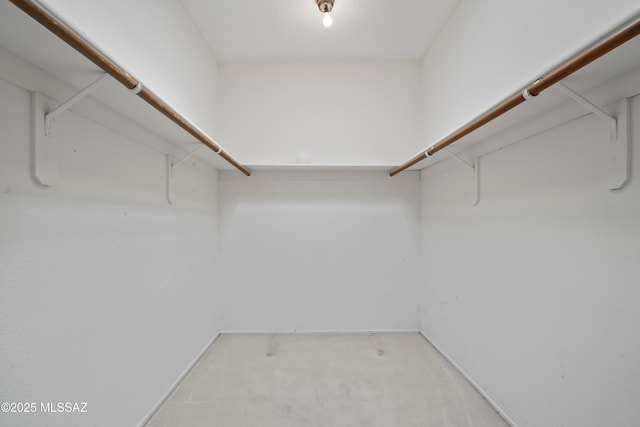 view of spacious closet
