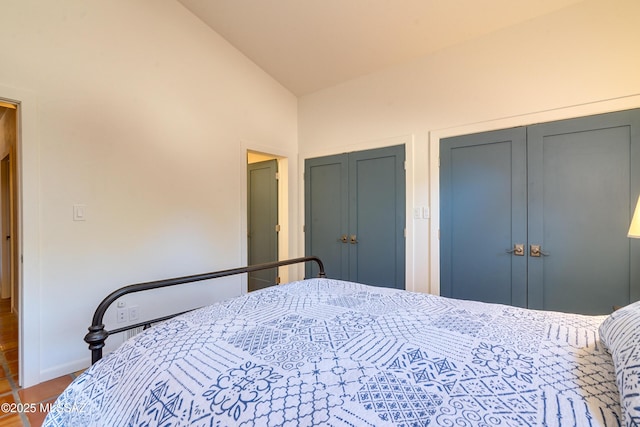 bedroom featuring wood finished floors, two closets, and vaulted ceiling