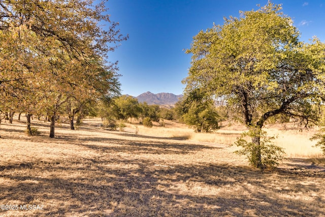 property view of mountains with a rural view