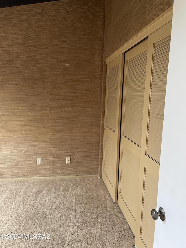 interior space featuring light colored carpet and a closet