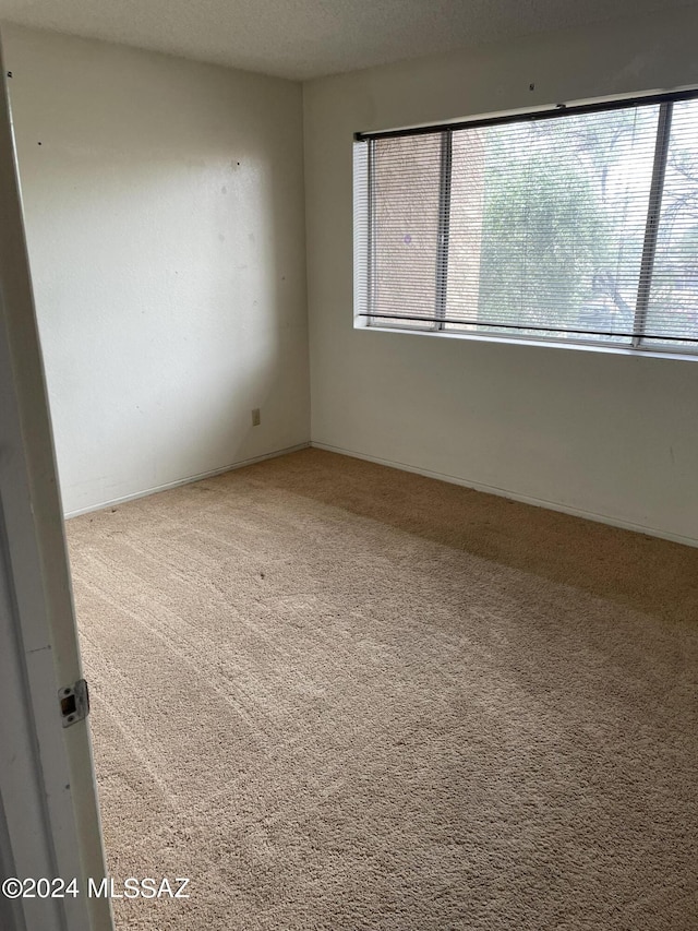 empty room with carpet flooring and a textured ceiling