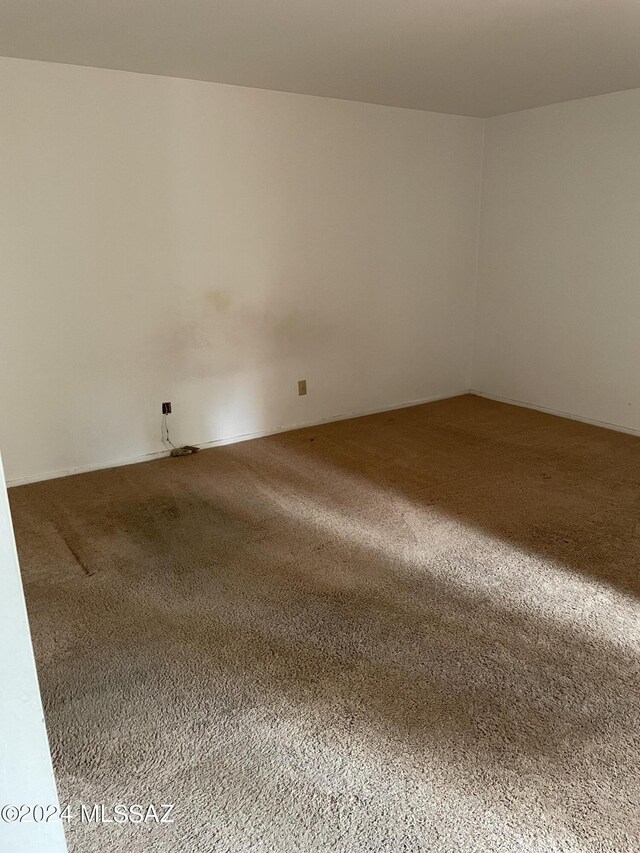 empty room featuring carpet