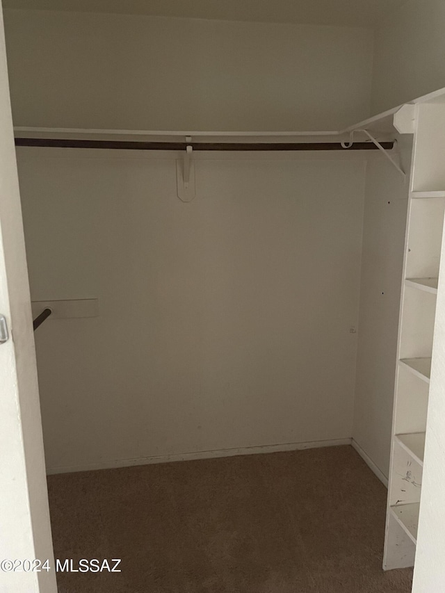 walk in closet with carpet floors
