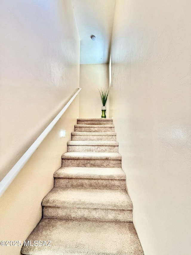 staircase with carpet flooring