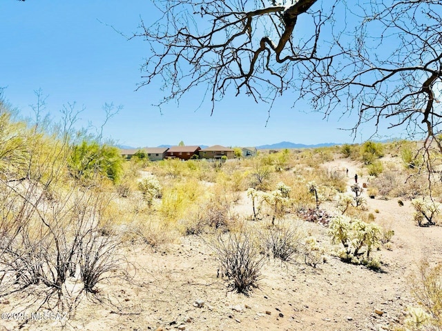 view of nature