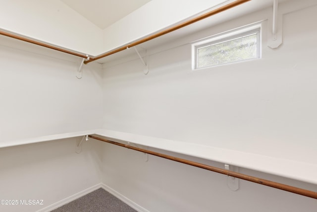 walk in closet featuring carpet floors