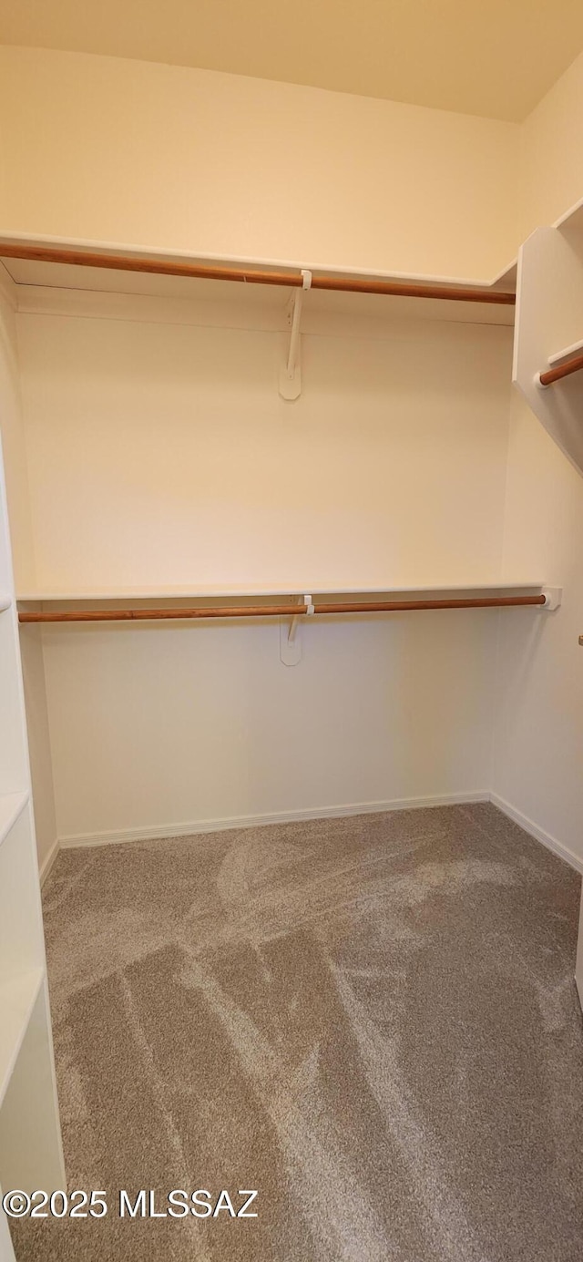 walk in closet with carpet floors