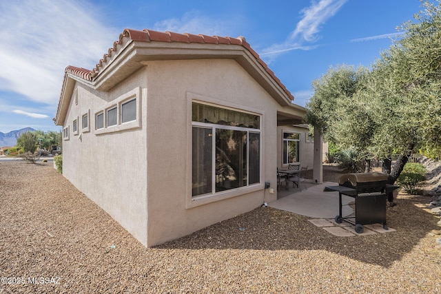 1117 E Regent Dr, Oro Valley, AZ 85755 - back of property with a patio, a tiled roof, and stucco siding