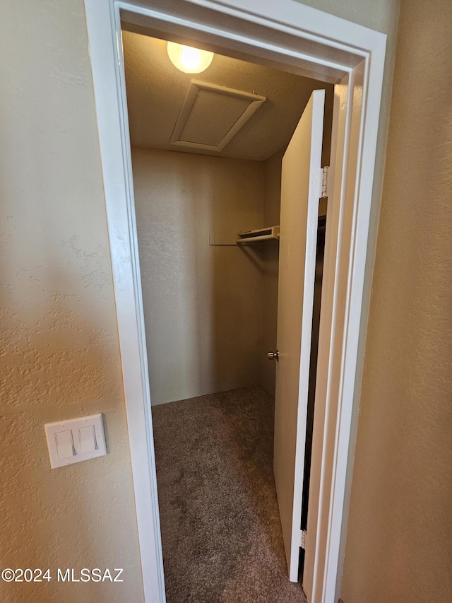 walk in closet featuring attic access and carpet