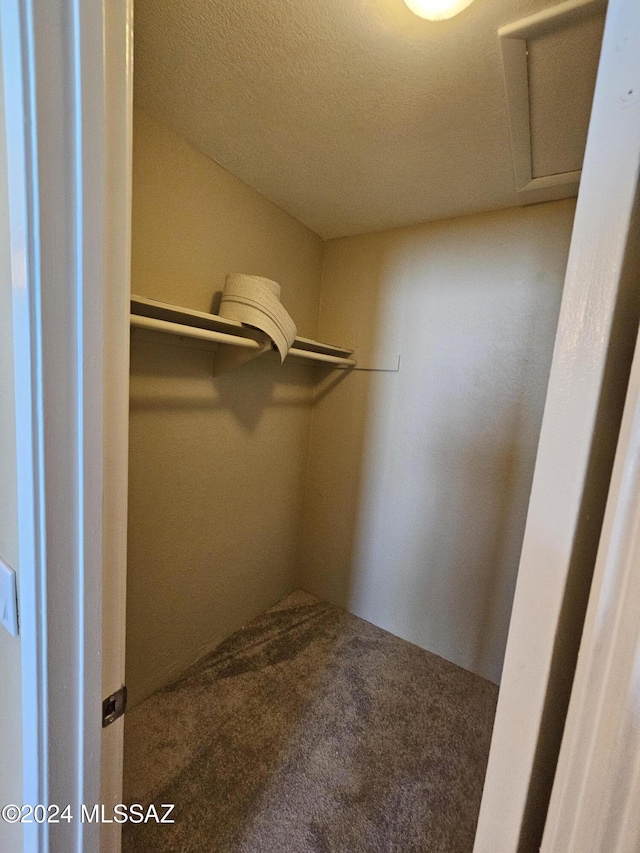 walk in closet featuring carpet