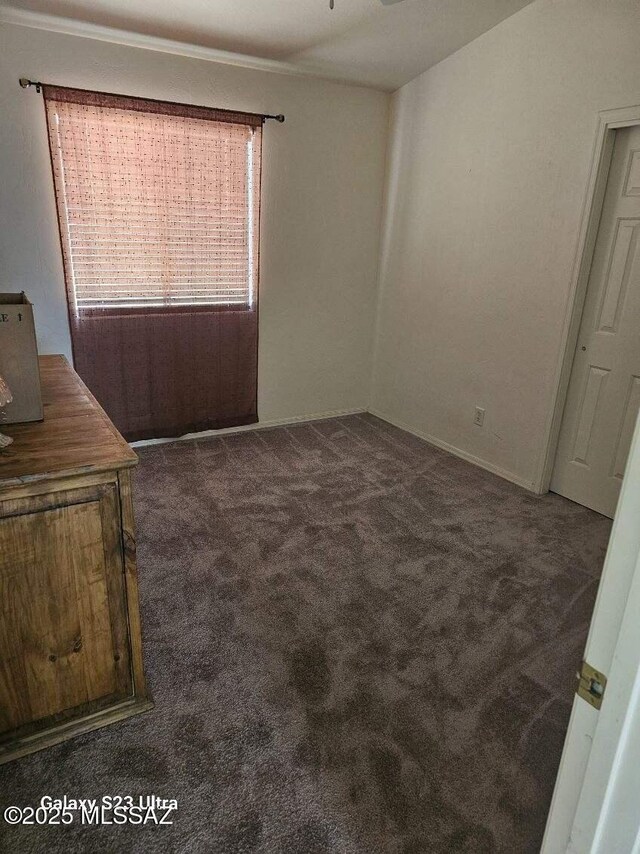 bedroom featuring dark carpet