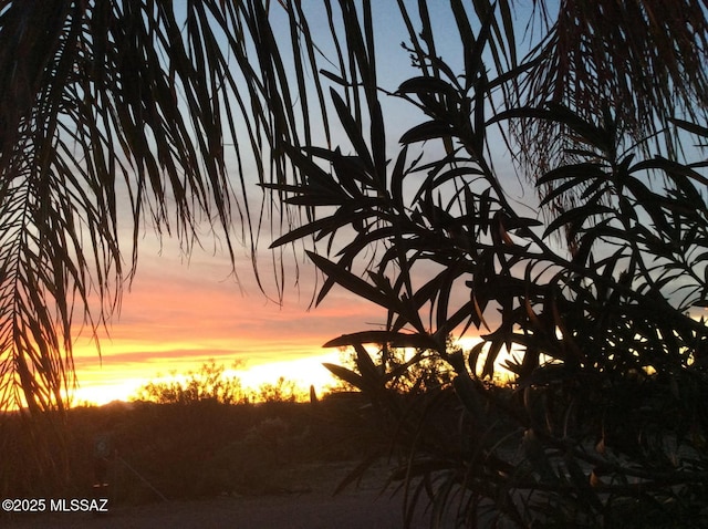 view of nature at dusk