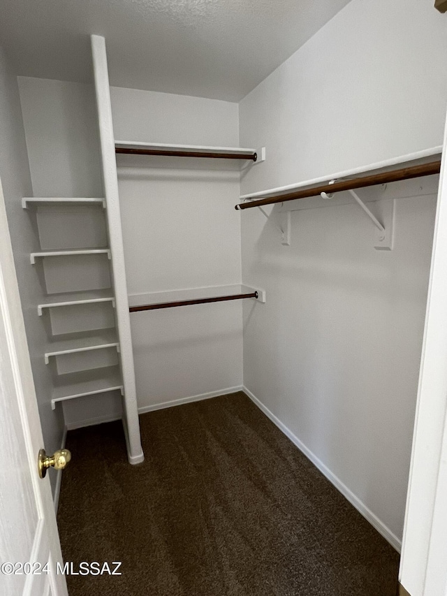walk in closet with carpet