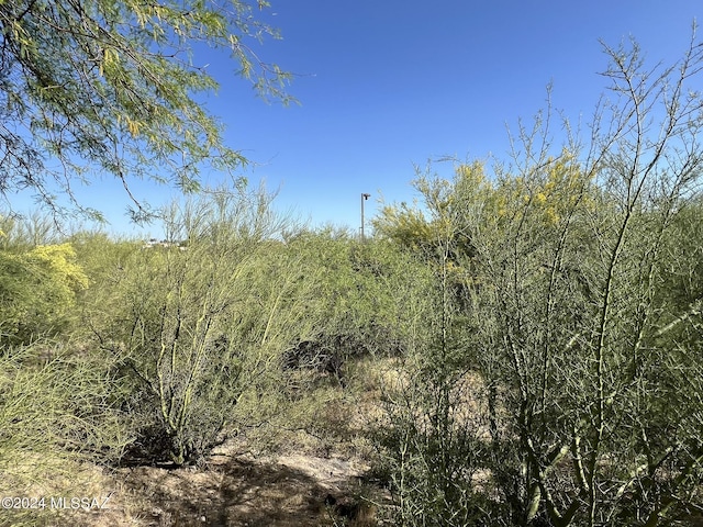 view of nature