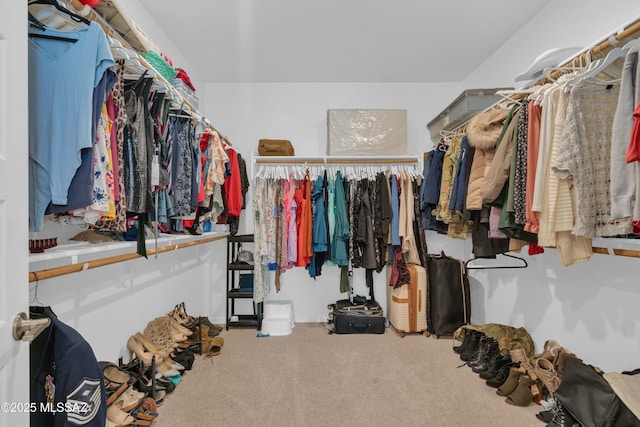 8111 S Soltero Mine Dr, Tucson, AZ 85747 - walk in closet with carpet flooring