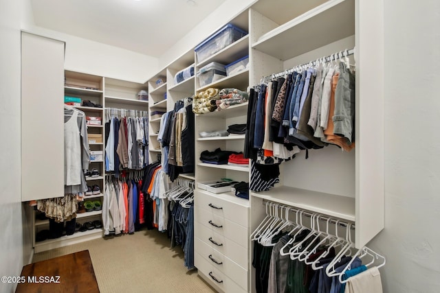 walk in closet with light carpet